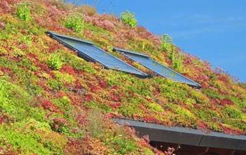 Bourn living roof systems
